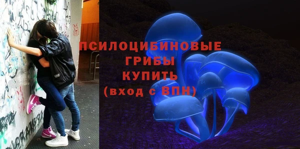 прущая мука Белоозёрский