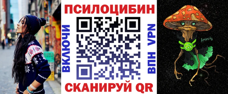 Купить где  Макушино  Галлюциногенные грибы Psilocybine cubensis 